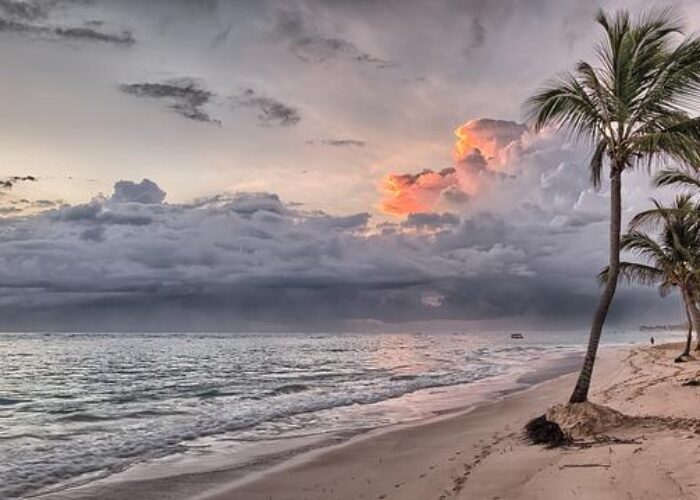 Golf Cart Rental in Placencia Belize ⏬⏬ img