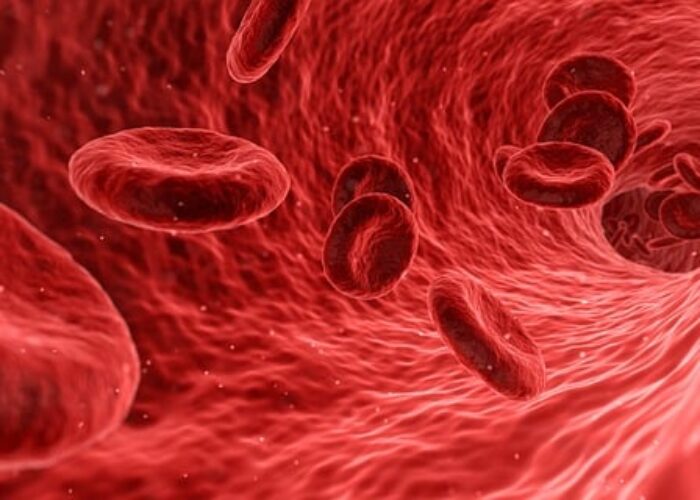 can you drink coffee while fasting for blood test ⏬⏬ img
